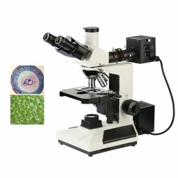 DYS-309透反射三目生物显微镜