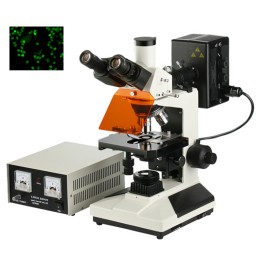 落射荧光显微镜DYF-300