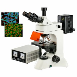 落射荧光显微镜DYF-600