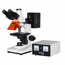 荧光显微镜DYF-200