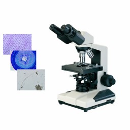 双目生物显微镜DYS-108