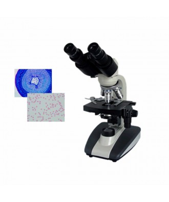 双目生物显微镜DYS-102