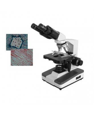 双目生物显微镜DYS-106