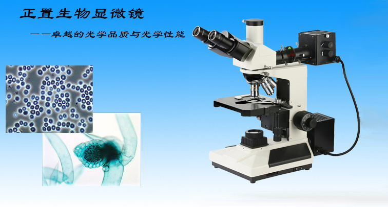 上海点应光学仪器有限公司-生物显微镜