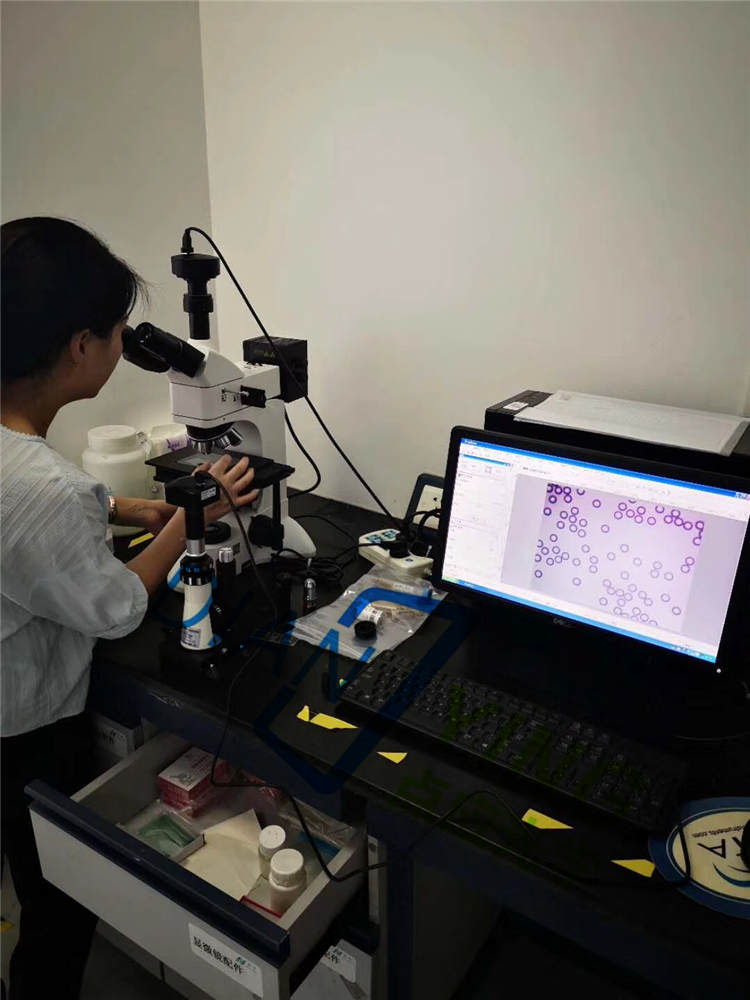 研究型金相显微镜DYJ-950交付