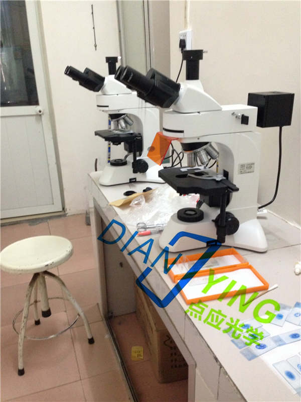 荧光显微镜DYF-680C